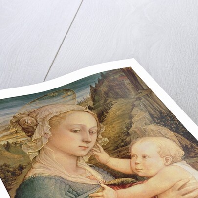 Virgin and Child, c.1465 by Fra Filippo Lippi