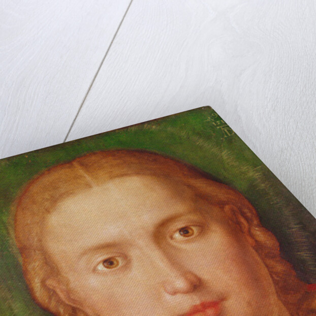 Madonna of the Carnation, 1516 by Albrecht Dürer or Duerer