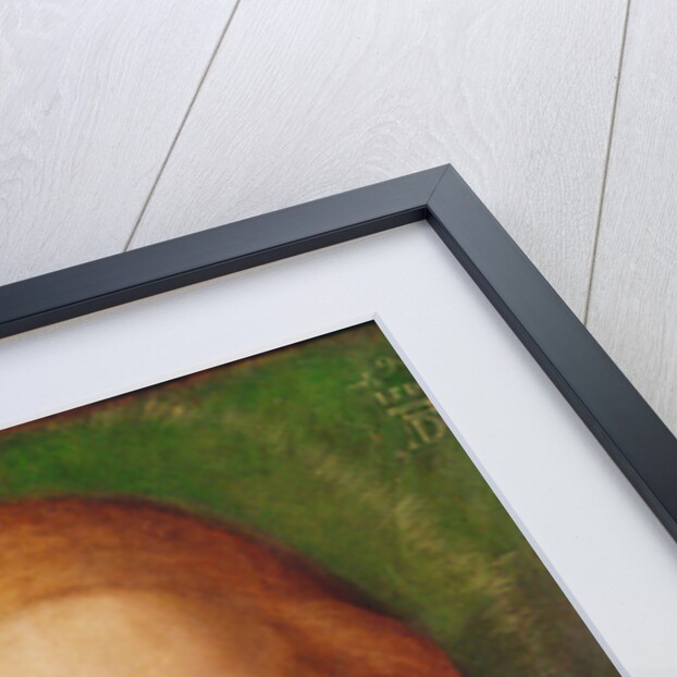 Madonna of the Carnation, 1516 by Albrecht Dürer or Duerer