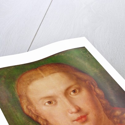 Madonna of the Carnation, 1516 by Albrecht Dürer or Duerer