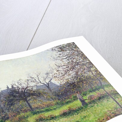 Morning Sun, Autumn, Eragny, 1897 by Camille Pissarro