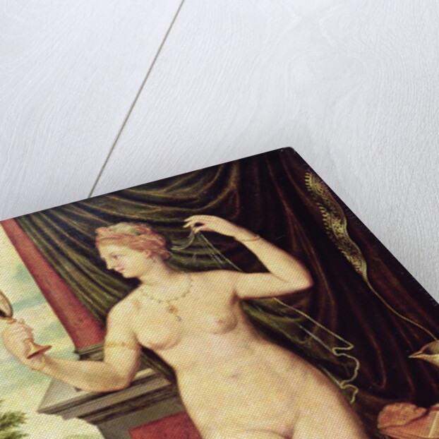 Venus with a Mirror by Fontainebleau School