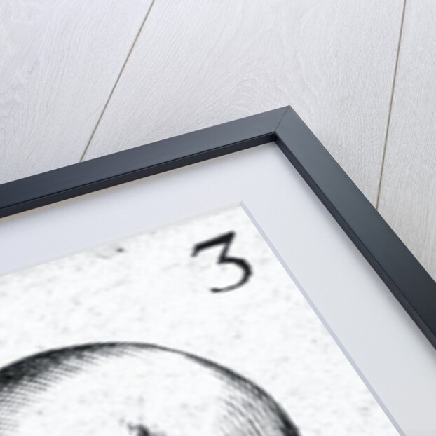 Portrait of Horace; portrait of Scipio Aemilianus; portrait of Plautus by French School