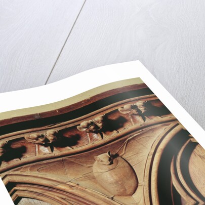 Vampire bat by French School