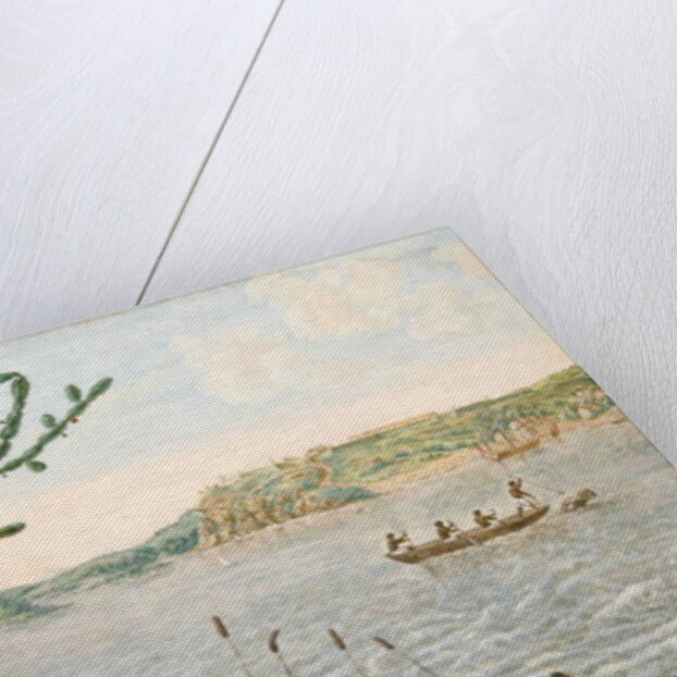 View of Fort Maurice on the Rio San Francisco by Frans Jansz Post