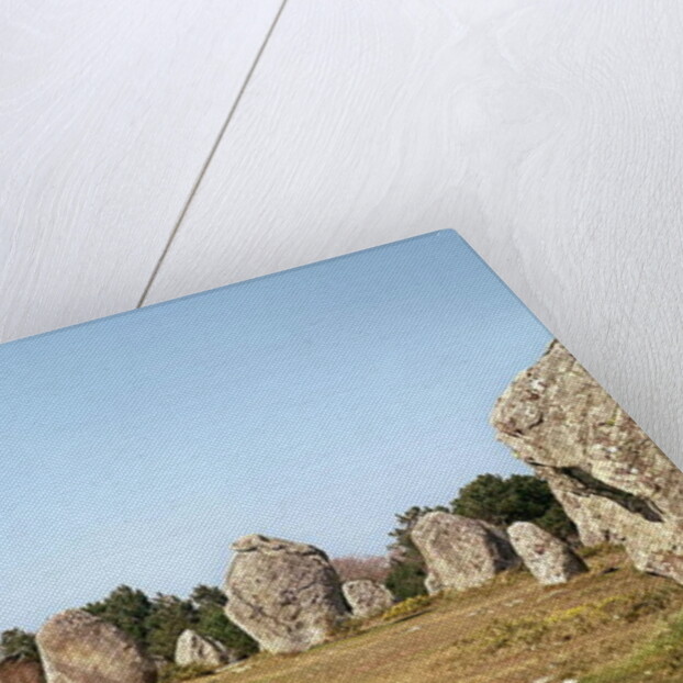 Alignment of standing stones, Megalithic Period, 4th-3rd millennium BC by Prehistoric Prehistoric