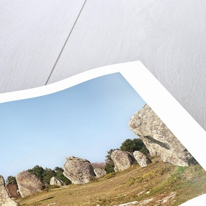 Alignment of standing stones, Megalithic Period, 4th-3rd millennium BC by Prehistoric Prehistoric