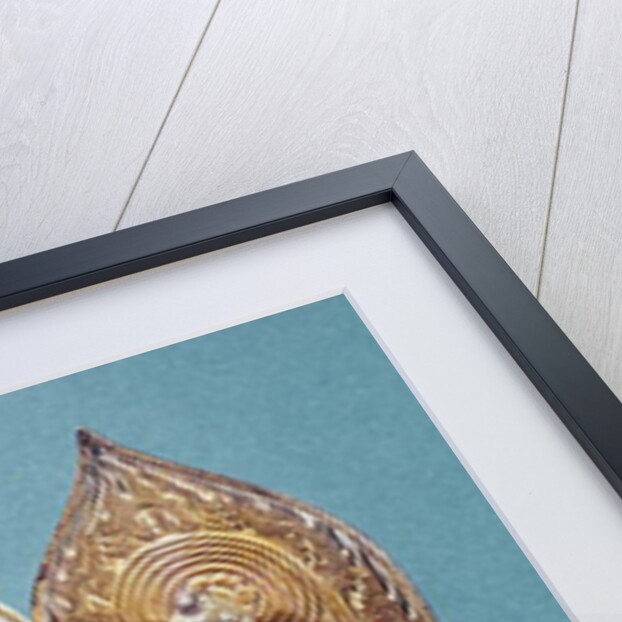 The Buddhas Prabhutaratna and Sakyamuni, from Hebei Province, Northern Wei Dynasty, 518 AD by Chinese School