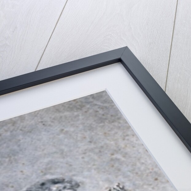 Francois Buzot contemplating a portrait miniature of Madame Roland by Etienne-Charles Leguay