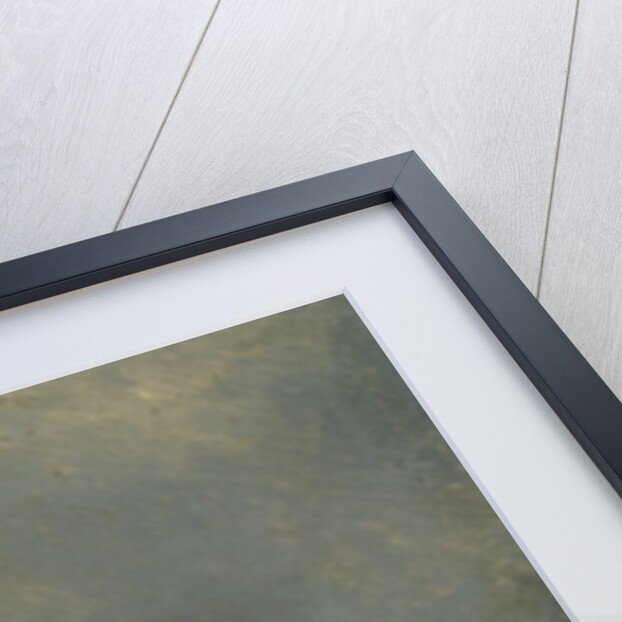 Guillotined head of a parricide executed at Puy in 1825 by Francois Gabriel de Becdelievre