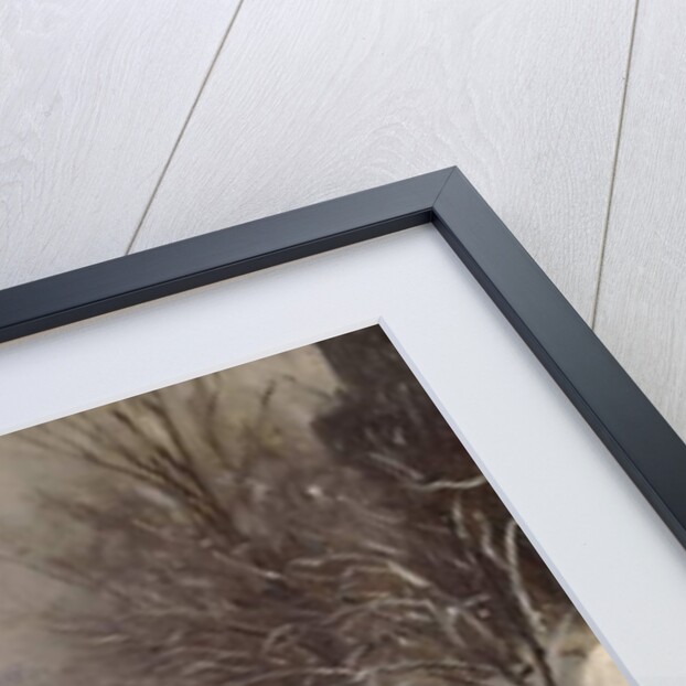 The Rennes Raspail Crossroads, c.1889 by Jean Henri Zuber