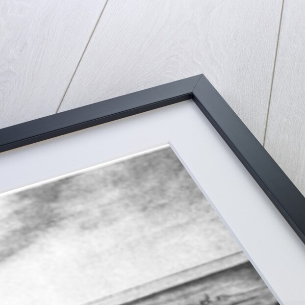 House of the Hanse, Antwerp by Anonymous