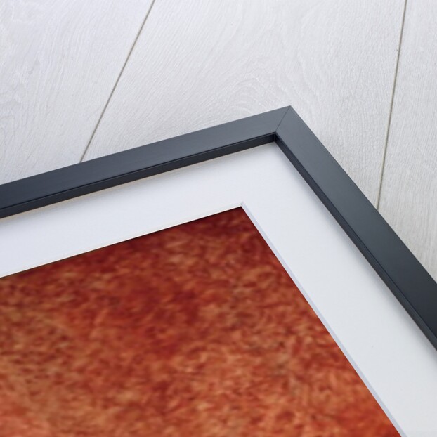 Portrait of Madame Charles-Louis Trudaine c.1791-92 by Jacques Louis David