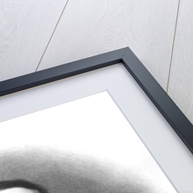 Ernest Renan after a photograph by Pierre Petit by French School