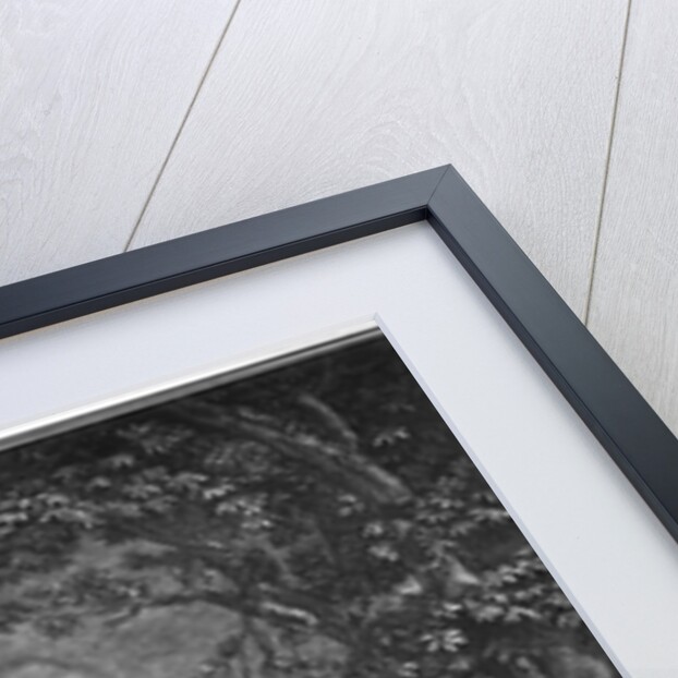 Joys of being a father, c.1797 by Philibert Louis Debucourt