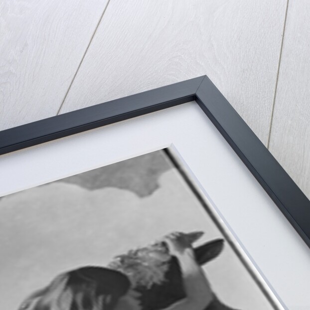 The Rape of Europa by Felix Edouard Vallotton