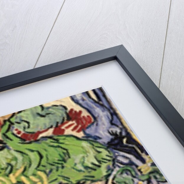 Tree roots, 1890 by Vincent van Gogh