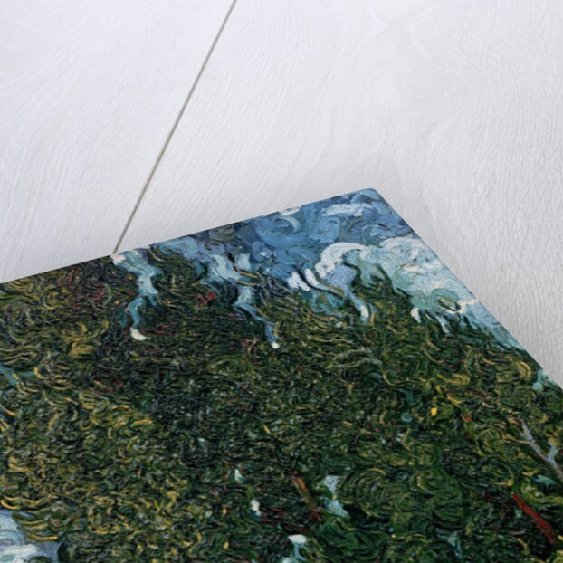 The cypresses, c.1889-90 by Vincent van Gogh