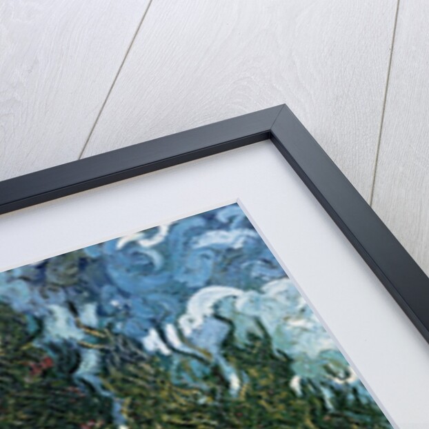 The cypresses, c.1889-90 by Vincent van Gogh