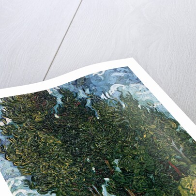 The cypresses, c.1889-90 by Vincent van Gogh