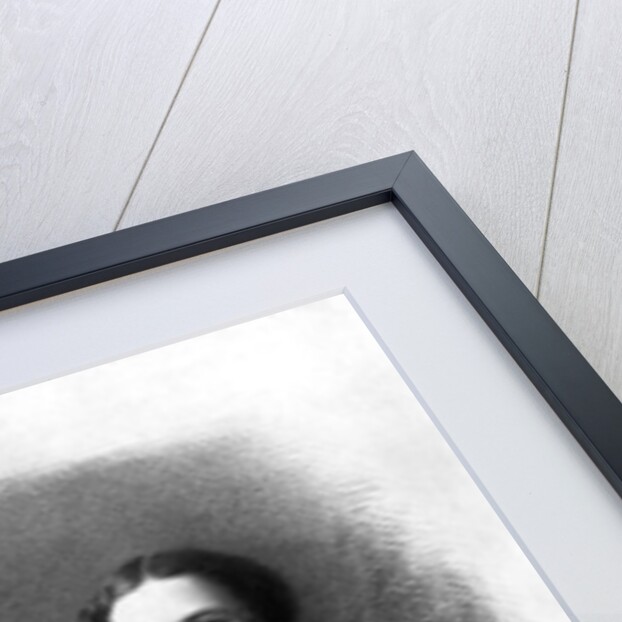 Sarah Bernhardt and her mother? by (1820-1910) Nadar