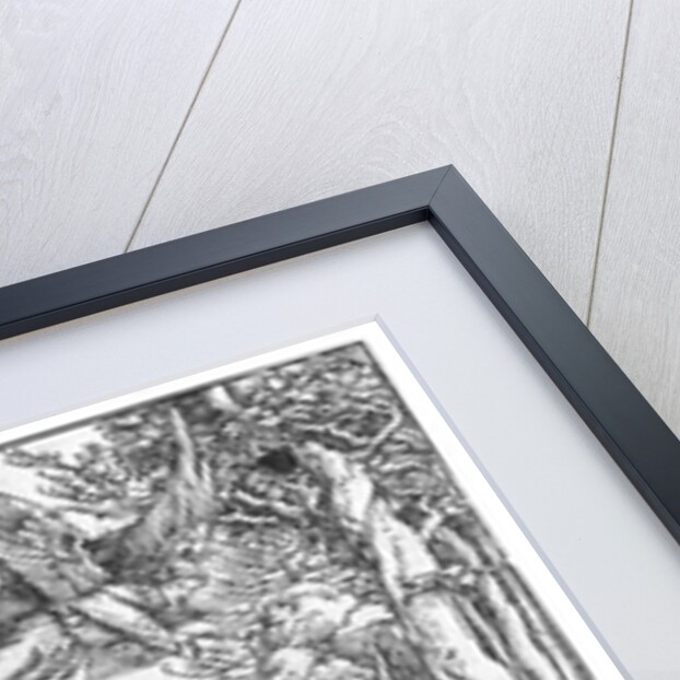 Scene from the Apocalypse, St. John devouring the Book, Latin edition, 1511 by Albrecht Dürer or Duerer