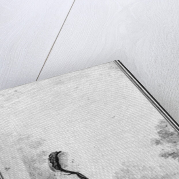 Portrait of Madame du Deffand, 1760 by Louis Carrogis Carmontelle