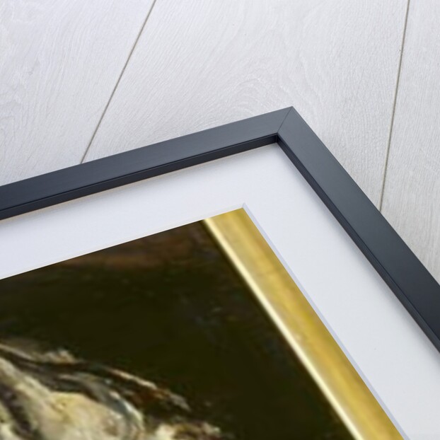 Fish by Antoine Vollon