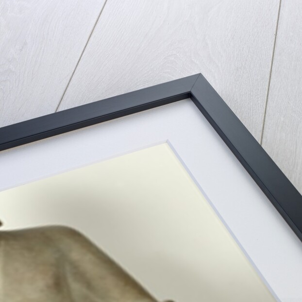 Standing Buddha, from Tuol Ta Hoy, Vat Phnom, Udong by Cambodian