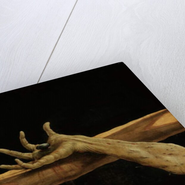 Crucifixion from the Isenheim Altarpiece by Matthias Grunewald