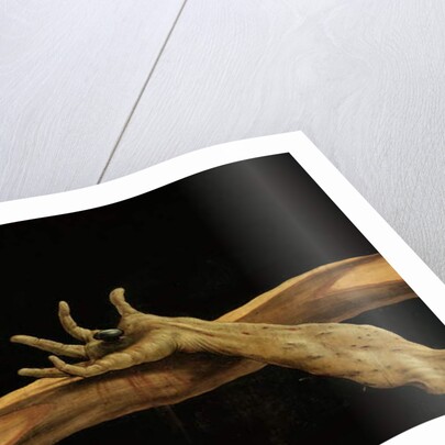 Crucifixion from the Isenheim Altarpiece by Matthias Grunewald