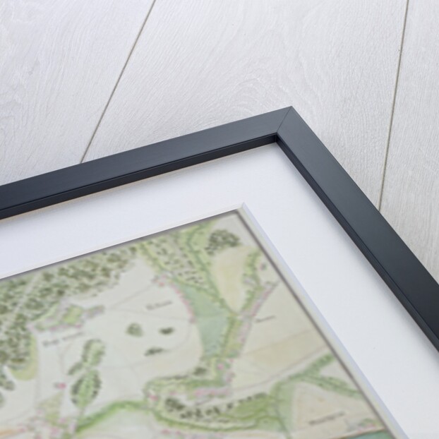 Map of Dusseldorf and surrounding areas by French School