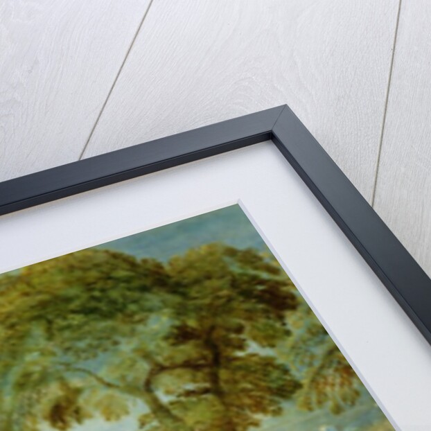 The Baptism of the Ethiopian Eunuch by St. Philip, 16th century by Lambert Sustris