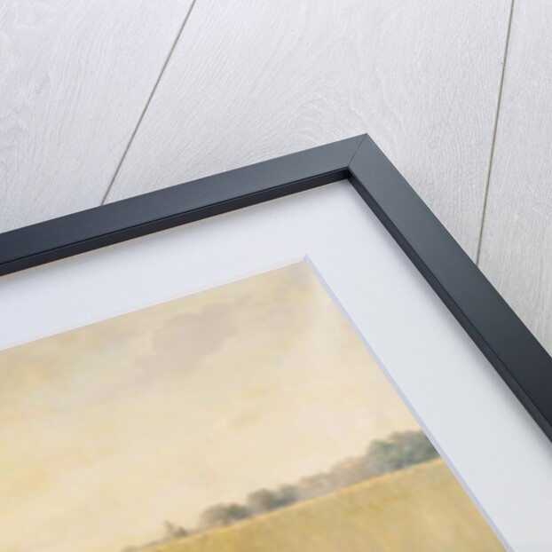 The Journeyman by Henri Pluchart