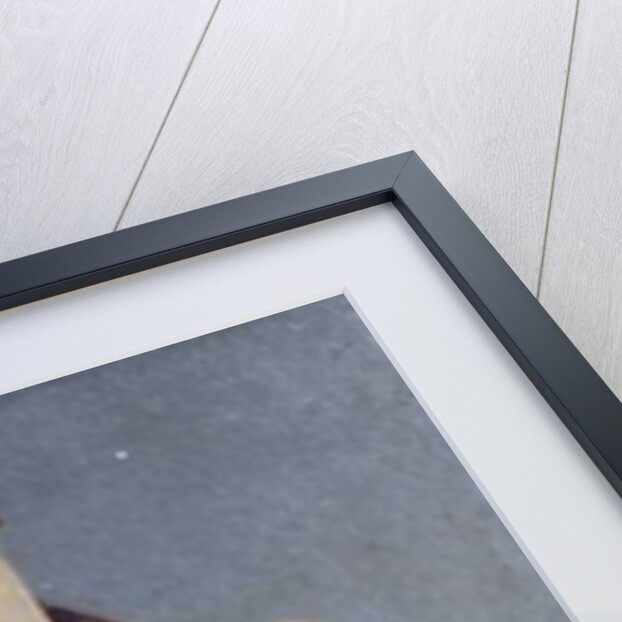 The Arrival at Bethlehem, 1897 by Luc-Oliver Merson