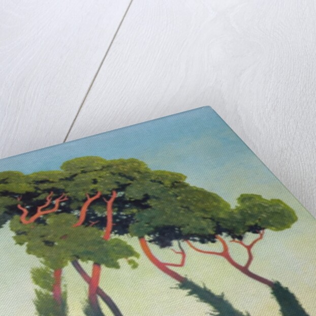 Landscape with Trees, 1911 by Felix Edouard Vallotton