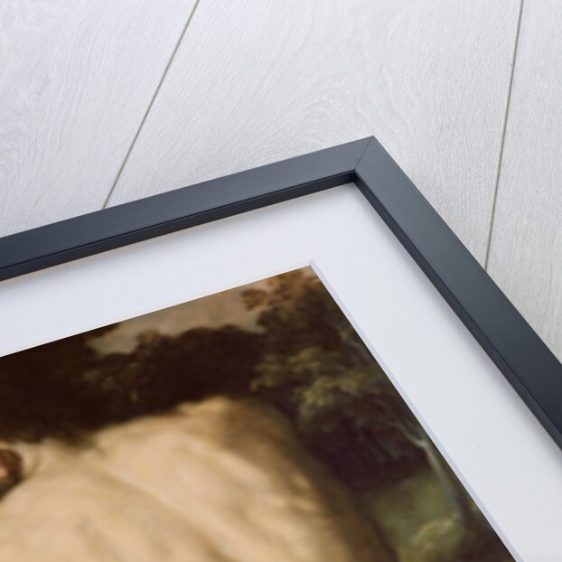 Noah's Family by Cornelis Cornelisz. van Haarlem