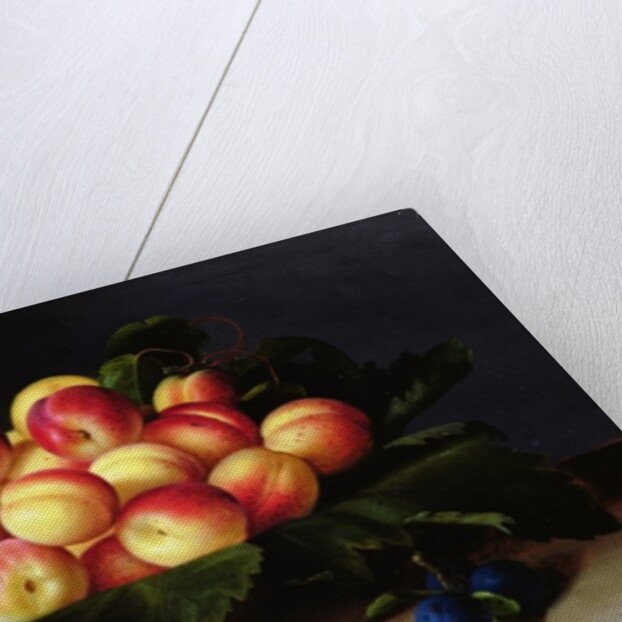 Basket of Apricots, 1634 by Louise Moillon