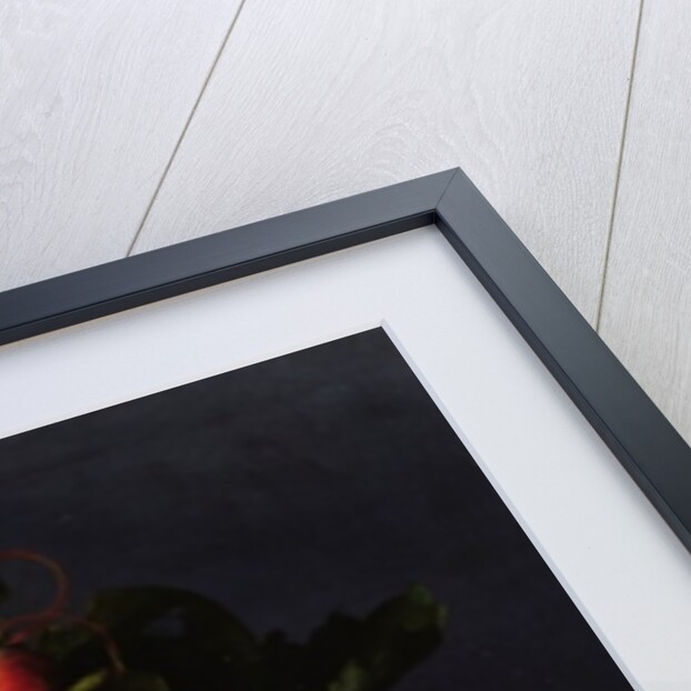 Basket of Apricots, 1634 by Louise Moillon