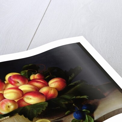 Basket of Apricots, 1634 by Louise Moillon