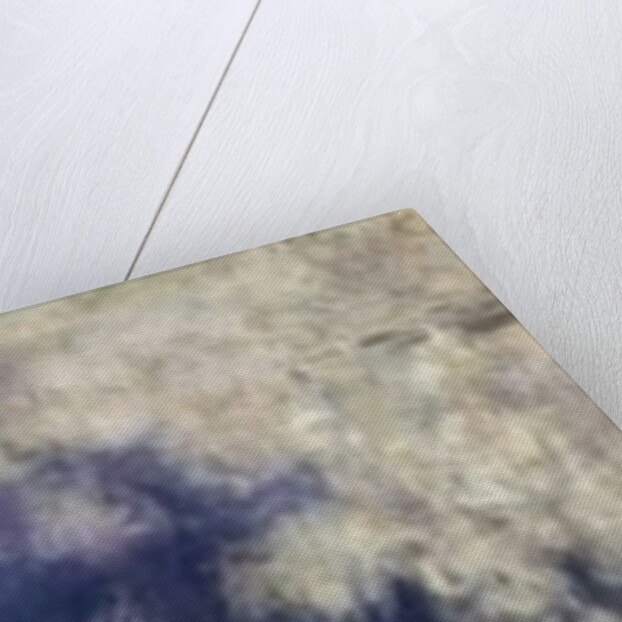 The Waterlilies - The Clouds, 1914-18 by Claude Monet