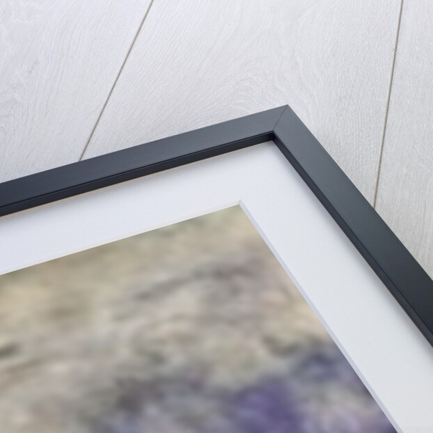 The Waterlilies - The Clouds, 1914-18 by Claude Monet