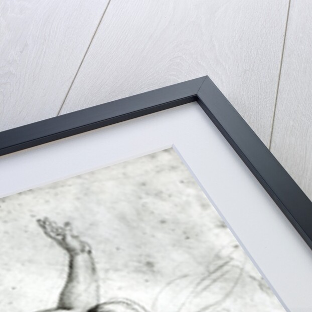 Psyche presenting Venus with water from the Styx, 1517 by Raphael