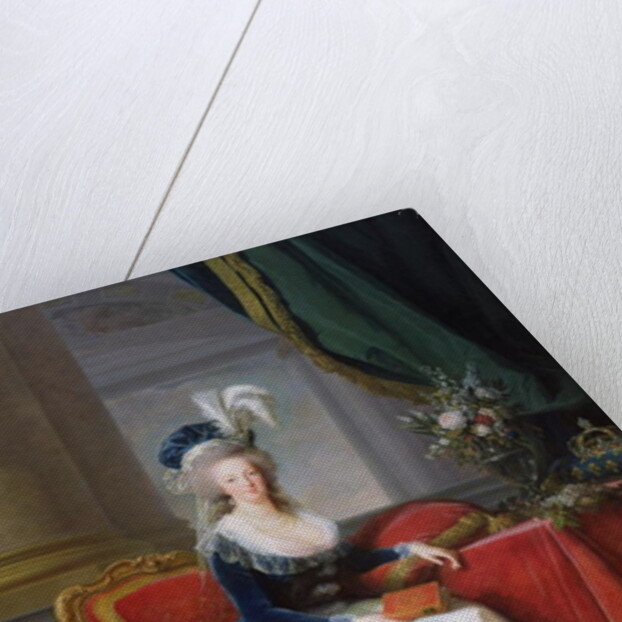 Marie-Antoinette, 1788 by Elisabeth Louise Vigee-Lebrun
