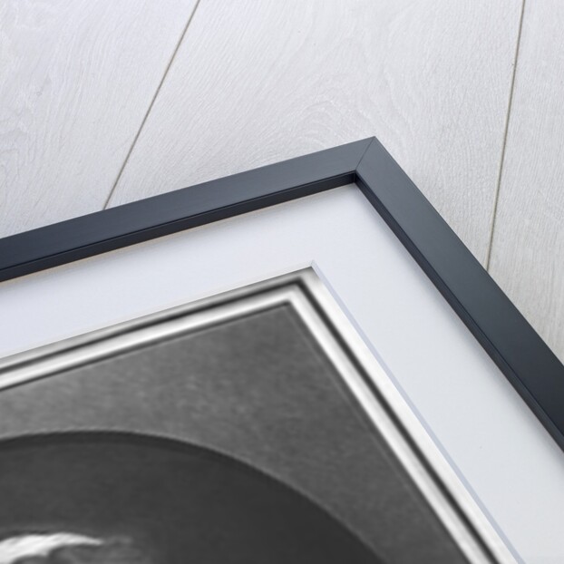 Marie-Therese-Charlotte de France aged seventeen by Christian von Mechel