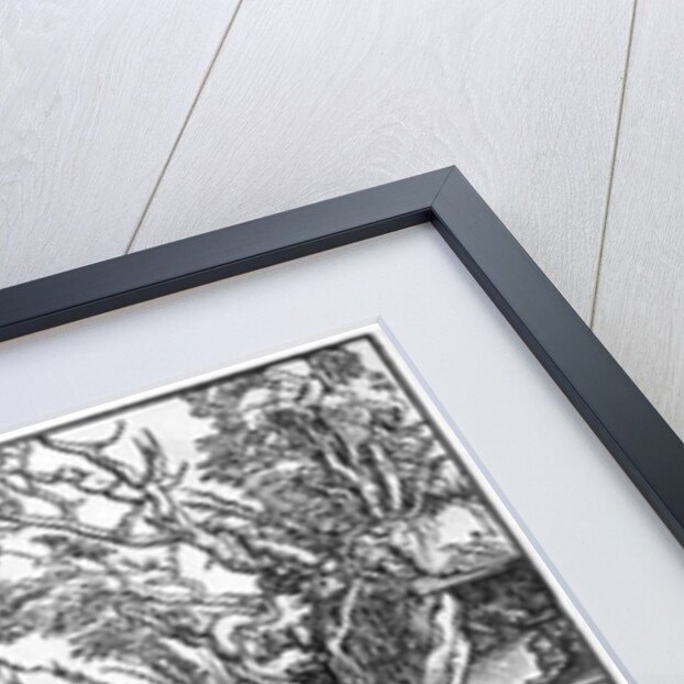 The entombment of Christ by Albrecht Dürer or Duerer