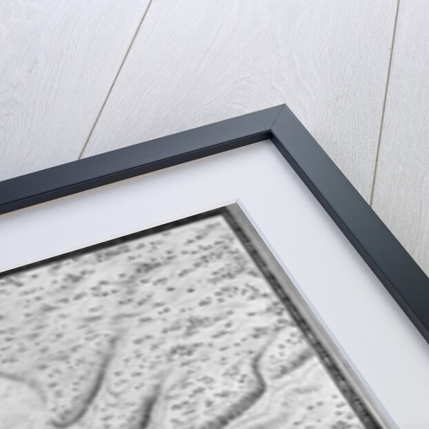 Plan and map of the town, citadel and surroundings of Mont-Louis, 1665 by Sebastien Le Prestre de Vauban