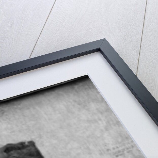 Edmond Felix Valentin About by Paul Baudry