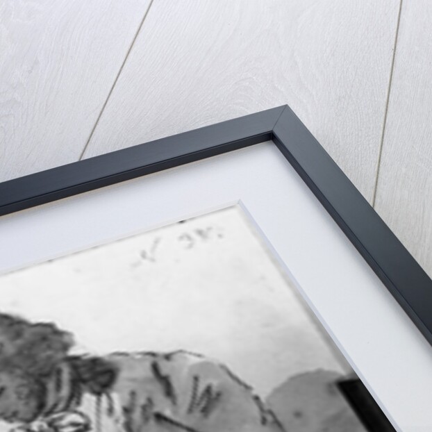 The Reader by Jean-Honore Fragonard