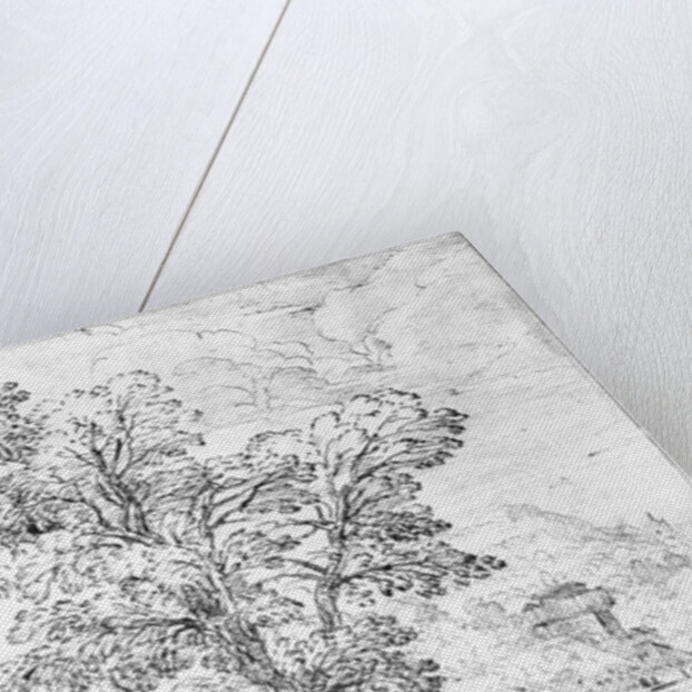 Wooded landscape by Agostino Carracci